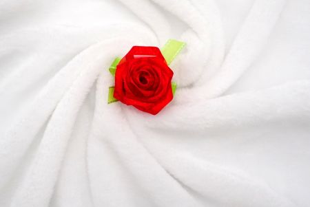 Set van rood rozenlint